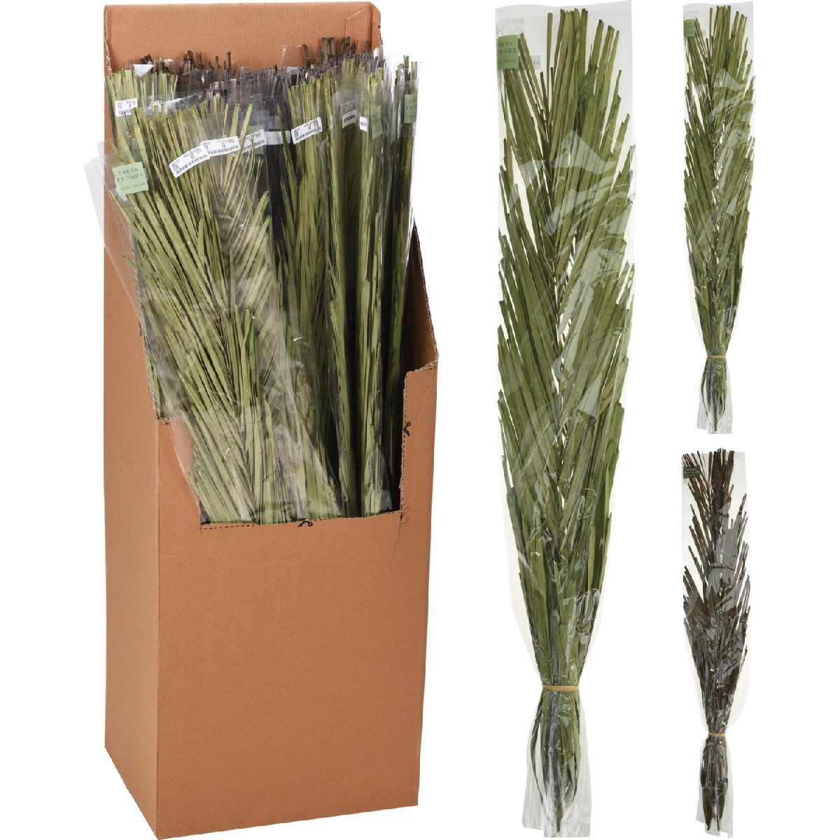 Artelibre - 06350601 ΦΥΛΛΑ KHAJUR 95-100CM ΔΕΜΕΝΑ ΣΕ ΧΑΡΤΙΝΗ ΘΗΚΗ 36ΤΜΧ ΣΕ 3 ΠΟΙΚΙΛΙΕΣ