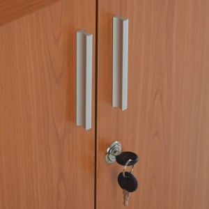 63344 ΝΤΟΥΛΑΠΙ ΓΡΑΦΕΙΟΥ VANCE ΕΠΑΓΓΕΛΜΑΤΙΚΟ ΚΕΡΑΣΙ HM2053.13 80X40X82Υ εκ.