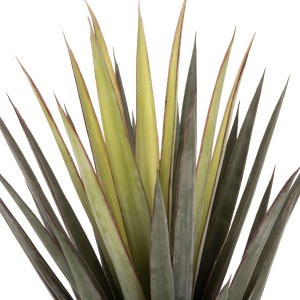 71226 ΔΙΑΚΟΣΜΗΤΙΚΟ ΣΥΝΘΕΤΙΚΟ ΦΥΤΟ HM7986 SISAL AGAVE ΣΕ ΓΛΑΣΤΡΑ Φ15,5x14,5-96Υεκ.