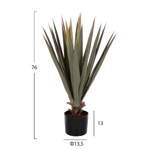 71229 ΔΙΑΚΟΣΜΗΤΙΚΟ ΣΥΝΘΕΤΙΚΟ ΦΥΤΟ HM7985 SISAL AGAVE ΣΕ ΓΛΑΣΤΡΑ  Φ13,5x13-76Υεκ.