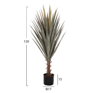 71269 ΔΙΑΚΟΣΜΗΤΙΚΟ ΣΥΝΘΕΤΙΚΟ ΦΥΤΟ HM7987 SISAL AGAVE ΣΕ ΓΛΑΣΤΡΑ 120Υεκ.