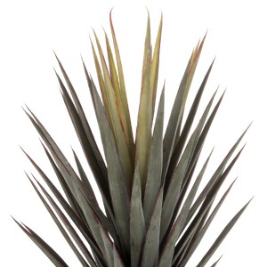 71269 ΔΙΑΚΟΣΜΗΤΙΚΟ ΣΥΝΘΕΤΙΚΟ ΦΥΤΟ HM7987 SISAL AGAVE ΣΕ ΓΛΑΣΤΡΑ 120Υεκ.