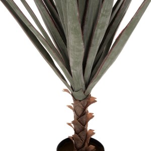 71269 ΔΙΑΚΟΣΜΗΤΙΚΟ ΣΥΝΘΕΤΙΚΟ ΦΥΤΟ HM7987 SISAL AGAVE ΣΕ ΓΛΑΣΤΡΑ 120Υεκ.