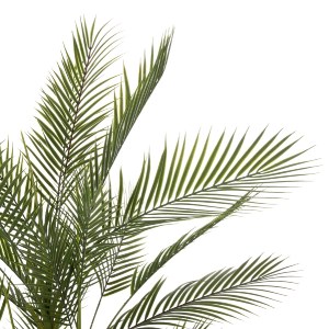 71271 ΔΙΑΚΟΣΜΗΤΙΚΟ ΣΥΝΘΕΤΙΚΟ ΦΥΤΟ HM7970 KWAI TREE ΣΕ ΓΛΑΣΤΡΑ Φ17x14,5-155Υεκ.
