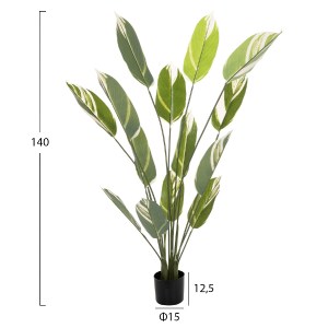 71289 ΔΙΑΚΟΣΜΗΤΙΚΟ ΣΥΝΘΕΤΙΚΟ ΦΥΤΟ HM7997 CALATHEA ΣΕ ΓΛΑΣΤΡΑ 140Υεκ.