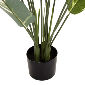 71289 ΔΙΑΚΟΣΜΗΤΙΚΟ ΣΥΝΘΕΤΙΚΟ ΦΥΤΟ HM7997 CALATHEA ΣΕ ΓΛΑΣΤΡΑ 140Υεκ.