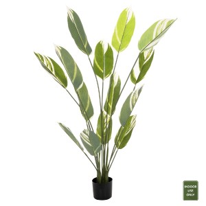 71289 ΔΙΑΚΟΣΜΗΤΙΚΟ ΣΥΝΘΕΤΙΚΟ ΦΥΤΟ HM7997 CALATHEA ΣΕ ΓΛΑΣΤΡΑ 140Υεκ.