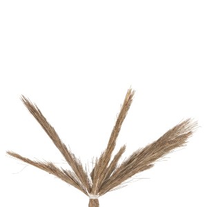 72437 ΔΙΑΚΟΣΜΗΤΙΚΟ ΔΕΝΤΡΟ TROPIC HM4323 τ.ΦΟΙΝΙΚΑ ΑΠΟ MENDONG GRASS 310Yεκ.