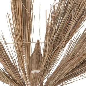 72437 ΔΙΑΚΟΣΜΗΤΙΚΟ ΔΕΝΤΡΟ TROPIC HM4323 τ.ΦΟΙΝΙΚΑ ΑΠΟ MENDONG GRASS 310Yεκ.