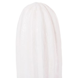 74369 ΔΙΑΚΟΣΜΗΤΙΚΟΣ ΚΑΚΤΟΣ ΔΑΠΕΔΟΥ CACTUS HM4386.02S MDF ΣΕ ΛΕΥΚΟ 42x30x74Υεκ