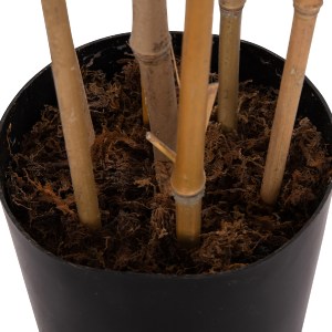74971 ΔΙΑΚΟΣΜΗΤΙΚΟ ΣΥΝΘΕΤΙΚΟ ΦΥΤΟ HM4737 BAMBOO ΣΕ ΓΛΑΣΤΡΑ 20x95x200Υεκ.
