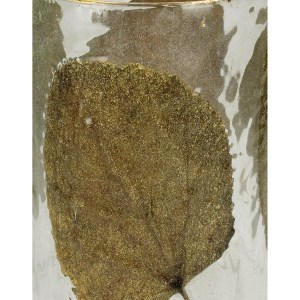 Artelibre - 05153790 ΚΗΡΟΠΗΓΙΟ ΦΥΛΛΑ ΔΙΑΦΑΝΟ ΓΥΑΛΙ 15X15X15CM