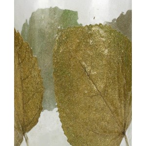 Artelibre - 05153791 ΚΗΡΟΠΗΓΙΟ ΦΥΛΛΑ ΔΙΑΦΑΝΟ ΓΥΑΛΙ 20X20X20CM