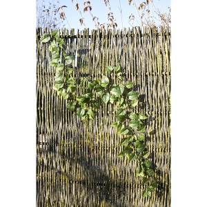 Artelibre - 05161191 ΓΙΡΛΑΝΤΑ ARTELIBRE ΤΕΧΝΗΤΟ ΠΡΑΣΙΝΟ 190CM
