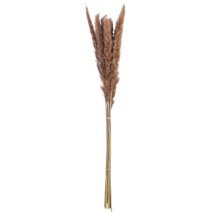 Artelibre - 05161222  ΔΕΣΜΗ PAMPAS GRASS SINTHETICAL BROWN ?X?X70CM N/A