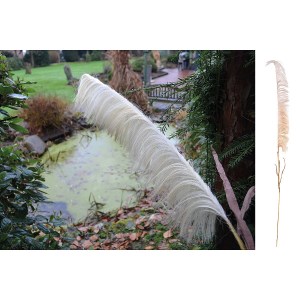 Artelibre - 05161240 ΚΛΑΔΙ ΓΡΑΣΙΔΙ ARTELIBRE ΤΕΧΝΗΤΟ ΕΚΡΟΥ 120CM