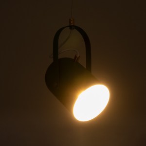 glo-00928-00928_3 GLOBOSTAR® HAZEL 00928 ΜΟΝΤΕΡΝΟ ΚΡΕΜΑΣΤΟ ΦΩΤΙΣΤΙΚΟ ΑΝΑΡΤΗΣΗ ΜΟΝΟΦΩΤΟ 1 X E27 IP20 ΠΡΑΣΙΝΟ,