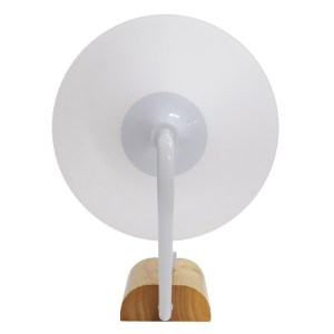 glo-01458-01458_4 GLOBOSTAR® ALESSIA 01458 ΜΟΝΤΕΡΝΟ ΕΠΙΤΟΙΧΙΟ ΦΩΤΙΣΤΙΚΟ ΑΠΛΙΚΑ ΜΟΝΟΦΩΤΟ 1 X E27 IP20 ΛΕΥΚΟ Μ