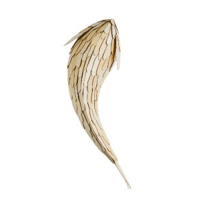 glo-02359-02359_4 GLOBOSTAR® GOURAMI 02359 BOHO ΕΠΙΤΟΙΧΙΟ ΦΩΤΙΣΤΙΚΟ ΑΠΛΙΚΑ ΜΟΝΟΦΩΤΟ 1 X E27 IP20 ΜΠΕΖ ΞΥΛΟ -