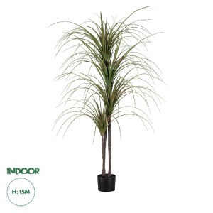 glo-20015-20015_0 GLOBOSTAR® ARTIFICIAL GARDEN DRAGON BLOOD TREE 20015 - ΤΕΧΝΗΤΟ ΔΙΑΚΟΣΜΗΤΙΚΟ ΦΥΤΟ ΔΡΑΚΑΙΝΑ 