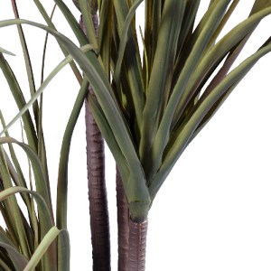 glo-20015-20015_3 GLOBOSTAR® ARTIFICIAL GARDEN DRAGON BLOOD TREE 20015 - ΤΕΧΝΗΤΟ ΔΙΑΚΟΣΜΗΤΙΚΟ ΦΥΤΟ ΔΡΑΚΑΙΝΑ 