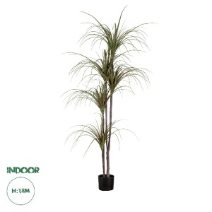 glo-20016-20016_0 GLOBOSTAR® ARTIFICIAL GARDEN DRAGON BLOOD TREE 20016 - ΤΕΧΝΗΤΟ ΔΙΑΚΟΣΜΗΤΙΚΟ ΦΥΤΟ ΔΡΑΚΑΙΝΑ 