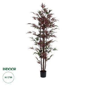 glo-20039-20039_0 GLOBOSTAR® ARTIFICIAL GARDEN BLOODLEAF BAMBOO 20039 ΤΕΧΝΗΤΟ ΔΙΑΚΟΣΜΗΤΙΚΟ ΦΥΤΟ ΑΙΜΑΤΟΦΥΛΛΟ 