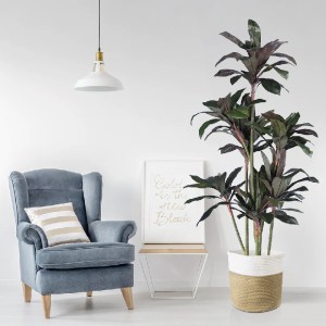 glo-20041-a6fd51_20041_20202 GLOBOSTAR® ARTIFICIAL GARDEN MELANY FICUS 20041 ΤΕΧΝΗΤΟ ΔΙΑΚΟΣΜΗΤΙΚΟ ΦΥΤΟ ΦΙΚΟΣ Υ170CM
