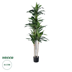 glo-20044-20044_0 GLOBOSTAR® ARTIFICIAL GARDEN DRACAENA SILK 20044 - ΤΕΧΝΗΤΟ ΔΙΑΚΟΣΜΗΤΙΚΟ ΦΥΤΟ ΔΡΑΚΑΙΝΑ Υ170
