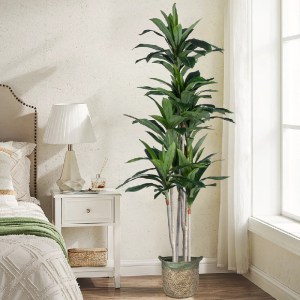 glo-20044-20044_20327 GLOBOSTAR® ARTIFICIAL GARDEN DRACAENA SILK 20044 - ΤΕΧΝΗΤΟ ΔΙΑΚΟΣΜΗΤΙΚΟ ΦΥΤΟ ΔΡΑΚΑΙΝΑ Υ170