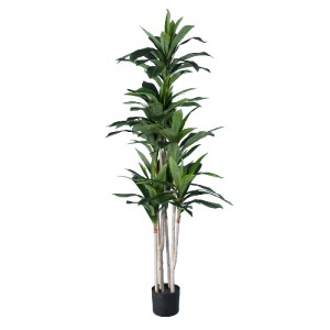 glo-20044-20044_2 GLOBOSTAR® ARTIFICIAL GARDEN DRACAENA SILK 20044 - ΤΕΧΝΗΤΟ ΔΙΑΚΟΣΜΗΤΙΚΟ ΦΥΤΟ ΔΡΑΚΑΙΝΑ Υ170