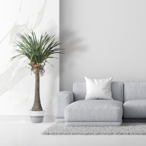 glo-20046-20046_20319 GLOBOSTAR® ARTIFICIAL GARDEN BEAUCARNEA PALM TREE 20046 ΤΕΧΝΗΤΟ ΔΙΑΚΟΣΜΗΤΙΚΟ ΦΥΤΟ ΚΥΡΤΟΦΥΛ