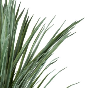 glo-20046-20046_3 GLOBOSTAR® ARTIFICIAL GARDEN BEAUCARNEA PALM TREE 20046 ΤΕΧΝΗΤΟ ΔΙΑΚΟΣΜΗΤΙΚΟ ΦΥΤΟ ΚΥΡΤΟΦΥΛ