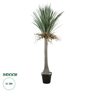glo-20047-20047_0 GLOBOSTAR® ARTIFICIAL GARDEN BEAUCARNEA PALM TREE 20047 ΤΕΧΝΗΤΟ ΔΙΑΚΟΣΜΗΤΙΚΟ ΦΥΤΟ ΚΥΡΤΟΦΥΛ