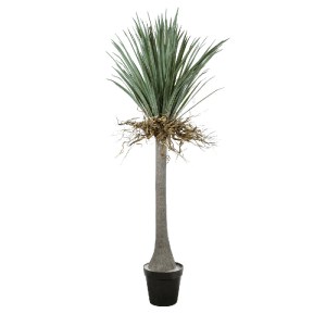 glo-20047-20047_2 GLOBOSTAR® ARTIFICIAL GARDEN BEAUCARNEA PALM TREE 20047 ΤΕΧΝΗΤΟ ΔΙΑΚΟΣΜΗΤΙΚΟ ΦΥΤΟ ΚΥΡΤΟΦΥΛ