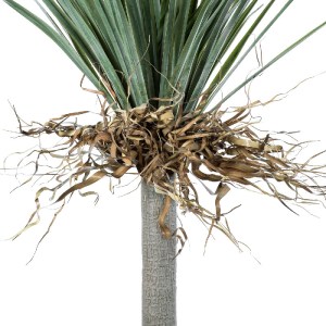 glo-20047-20047_4 GLOBOSTAR® ARTIFICIAL GARDEN BEAUCARNEA PALM TREE 20047 ΤΕΧΝΗΤΟ ΔΙΑΚΟΣΜΗΤΙΚΟ ΦΥΤΟ ΚΥΡΤΟΦΥΛ