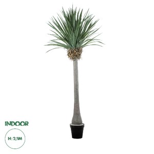 glo-20048-20048_0 GLOBOSTAR® ARTIFICIAL GARDEN BEAUCARNEA PALM TREE 20048 ΤΕΧΝΗΤΟ ΔΙΑΚΟΣΜΗΤΙΚΟ ΦΥΤΟ ΚΥΡΤΟΦΥΛ