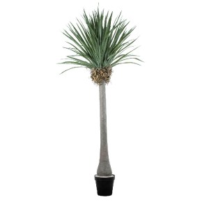 glo-20048-20048_2 GLOBOSTAR® ARTIFICIAL GARDEN BEAUCARNEA PALM TREE 20048 ΤΕΧΝΗΤΟ ΔΙΑΚΟΣΜΗΤΙΚΟ ΦΥΤΟ ΚΥΡΤΟΦΥΛ