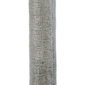 glo-20048-20048_5 GLOBOSTAR® ARTIFICIAL GARDEN BEAUCARNEA PALM TREE 20048 ΤΕΧΝΗΤΟ ΔΙΑΚΟΣΜΗΤΙΚΟ ΦΥΤΟ ΚΥΡΤΟΦΥΛ