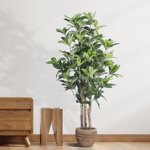 glo-20056-20056_20337.png GLOBOSTAR® ARTIFICIAL GARDEN FORTUNE GUIANA TREE 20056 ΤΕΧΝΗΤΟ ΔΙΑΚΟΣΜΗΤΙΚΟ ΦΥΤΟ ΚΑΣΤΑΝΙΑ 