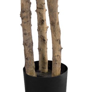 glo-20056-20056_3 GLOBOSTAR® ARTIFICIAL GARDEN FORTUNE GUIANA TREE 20056 ΤΕΧΝΗΤΟ ΔΙΑΚΟΣΜΗΤΙΚΟ ΦΥΤΟ ΚΑΣΤΑΝΙΑ 