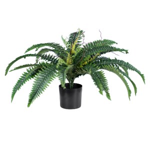 glo-20058-20058_2 GLOBOSTAR® ARTIFICIAL GARDEN FERN 20058 ΤΕΧΝΗΤΟ ΔΙΑΚΟΣΜΗΤΙΚΟ ΦΥΤΟ ΦΤΕΡΗ Υ40CM