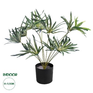 glo-20059-20059_0 GLOBOSTAR® ARTIFICIAL GARDEN BROADLEAF LADY PALM 20059 ΤΕΧΝΗΤΟ ΔΙΑΚΟΣΜΗΤΙΚΟ ΦΥΤΟ ΠΛΑΤΥΦΥΛΛ