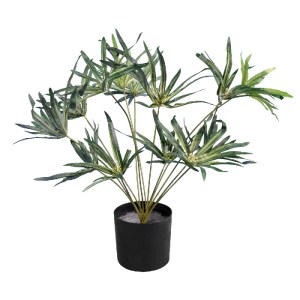 glo-20059-20059_2 GLOBOSTAR® ARTIFICIAL GARDEN BROADLEAF LADY PALM 20059 ΤΕΧΝΗΤΟ ΔΙΑΚΟΣΜΗΤΙΚΟ ΦΥΤΟ ΠΛΑΤΥΦΥΛΛ