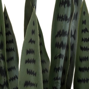glo-20063-20063_3 GLOBOSTAR® ARTIFICIAL GARDEN DRACAENA TRIFASCIATA 20063 ΤΕΧΝΗΤΟ ΔΙΑΚΟΣΜΗΤΙΚΟ ΦΥΤΟ ΣΑΝΣΕΒΙΕ