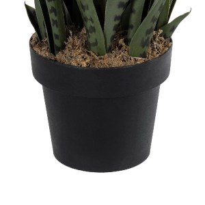 glo-20063-20063_4 GLOBOSTAR® ARTIFICIAL GARDEN DRACAENA TRIFASCIATA 20063 ΤΕΧΝΗΤΟ ΔΙΑΚΟΣΜΗΤΙΚΟ ΦΥΤΟ ΣΑΝΣΕΒΙΕ