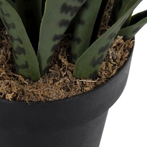 glo-20063-20063_5 GLOBOSTAR® ARTIFICIAL GARDEN DRACAENA TRIFASCIATA 20063 ΤΕΧΝΗΤΟ ΔΙΑΚΟΣΜΗΤΙΚΟ ΦΥΤΟ ΣΑΝΣΕΒΙΕ
