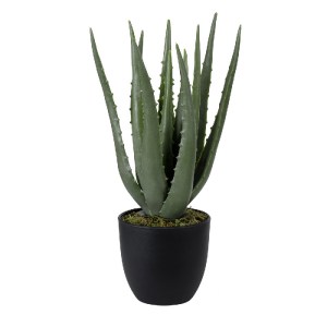 glo-20064-20064_2 GLOBOSTAR® ARTIFICIAL GARDEN ALOE 20064 ΤΕΧΝΗΤΟ ΔΙΑΚΟΣΜΗΤΙΚΟ ΦΥΤΟ ΑΛΟΗ Υ38CM