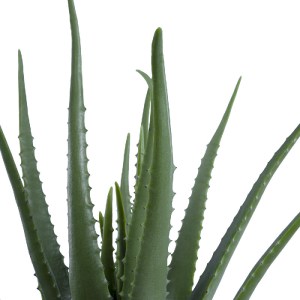 glo-20065-20065_3 GLOBOSTAR® ARTIFICIAL GARDEN ALOE 20065 ΤΕΧΝΗΤΟ ΔΙΑΚΟΣΜΗΤΙΚΟ ΦΥΤΟ ΑΛΟΗ Υ50CM