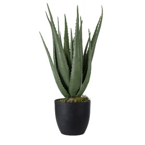 glo-20066-20066_2 GLOBOSTAR® ARTIFICIAL GARDEN ALOE 20066 ΤΕΧΝΗΤΟ ΔΙΑΚΟΣΜΗΤΙΚΟ ΦΥΤΟ ΑΛΟΗ Υ65CM